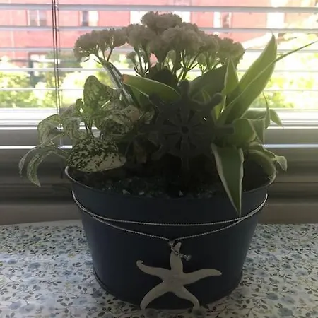 Stylish Spacious Near Centre By The Sea Apartmán *