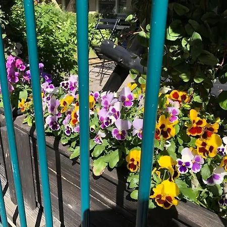 Apartament Stylish Spacious Near Centre By The Sea