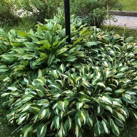 Apartmán Stylish Spacious Near Centre By The Sea Helsinky