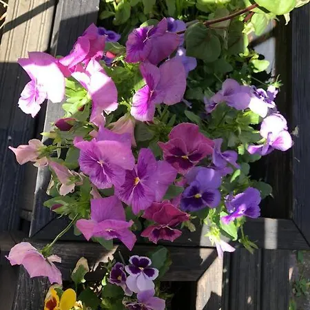 Stylish Spacious Near Centre By The Sea * Helsinki